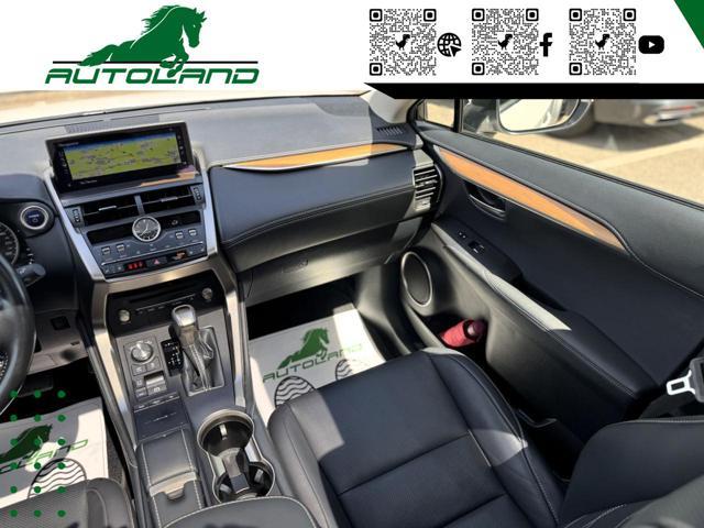 LEXUS NX 300 Hybrid 4WD Executive 155 CV