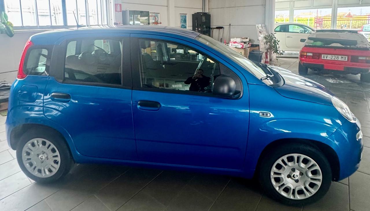 Fiat Panda 1.0 FireFly S&S Hybrid Pandina