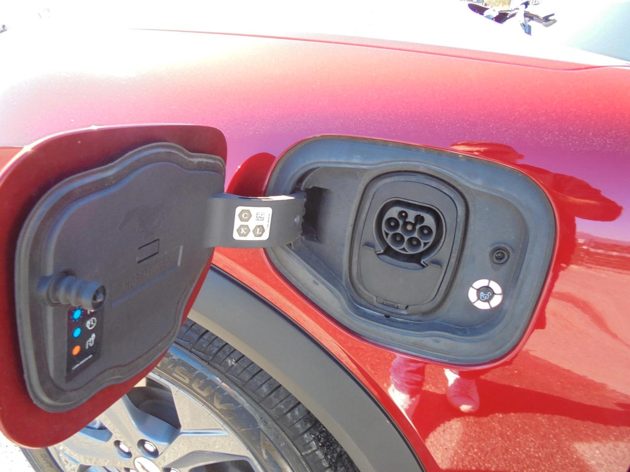 Ford Mustang Mach-E Elettrico Standard 269CV