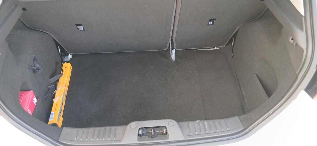 Ford Fiesta 1.5 TDCi 95CV 5 porte Titanium