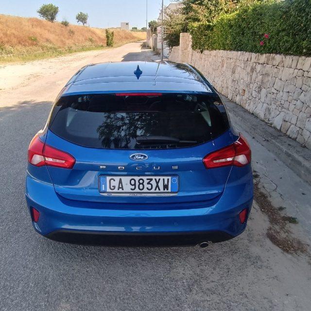 FORD Focus 1.5 EcoBlue 120 CV 5p. Business