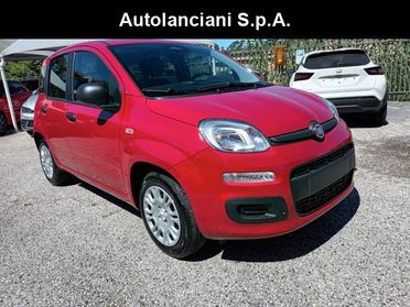 FIAT Panda 1000 HYBRID 70 CV PDC ITALIA