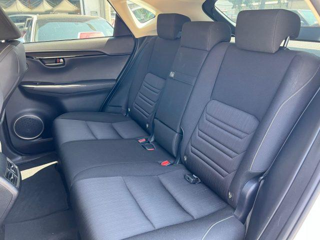 LEXUS NX 300 Hybrid Business