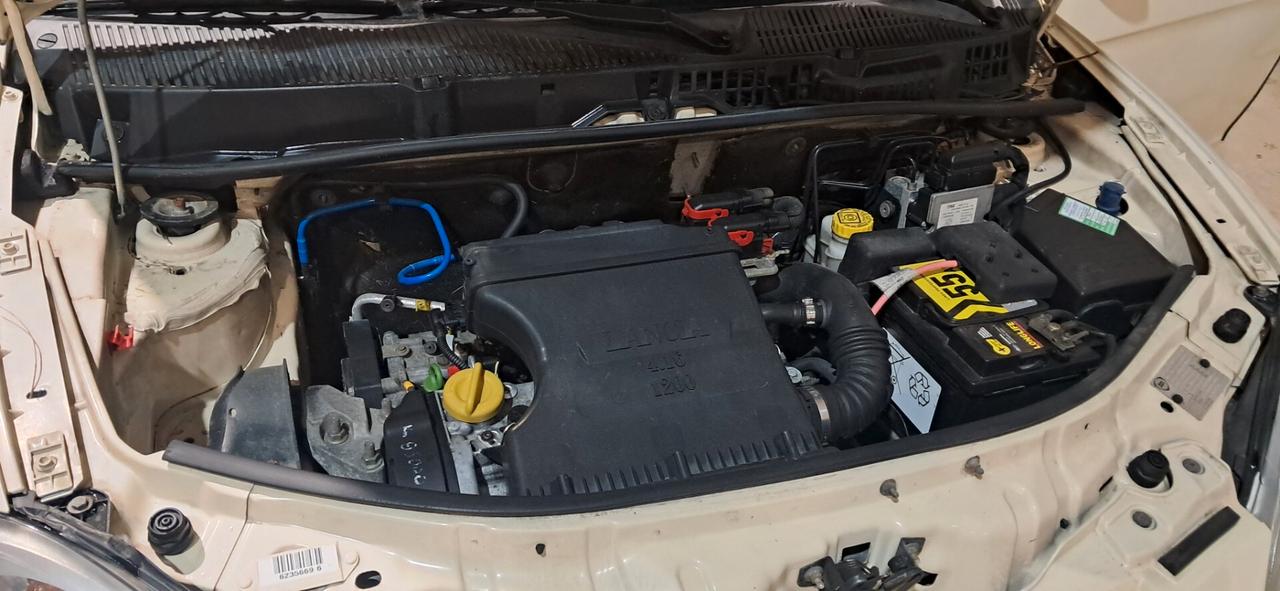 Lancia Ypsilon 1.2 16V Platino