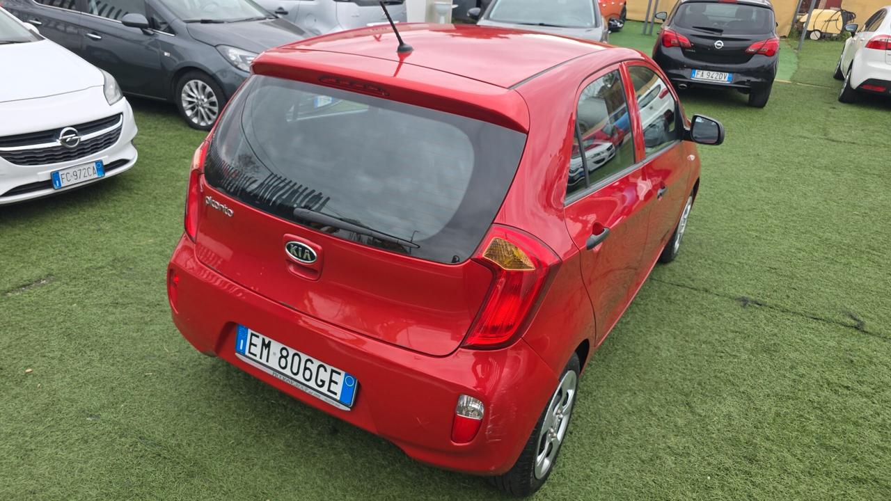 Kia Picanto 1.0 12V EcoGPL 5 porte City neopatentati
