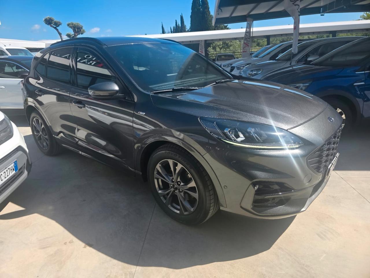 Ford Kuga 1.5 EcoBlue 120 CV 2WD ST-Line