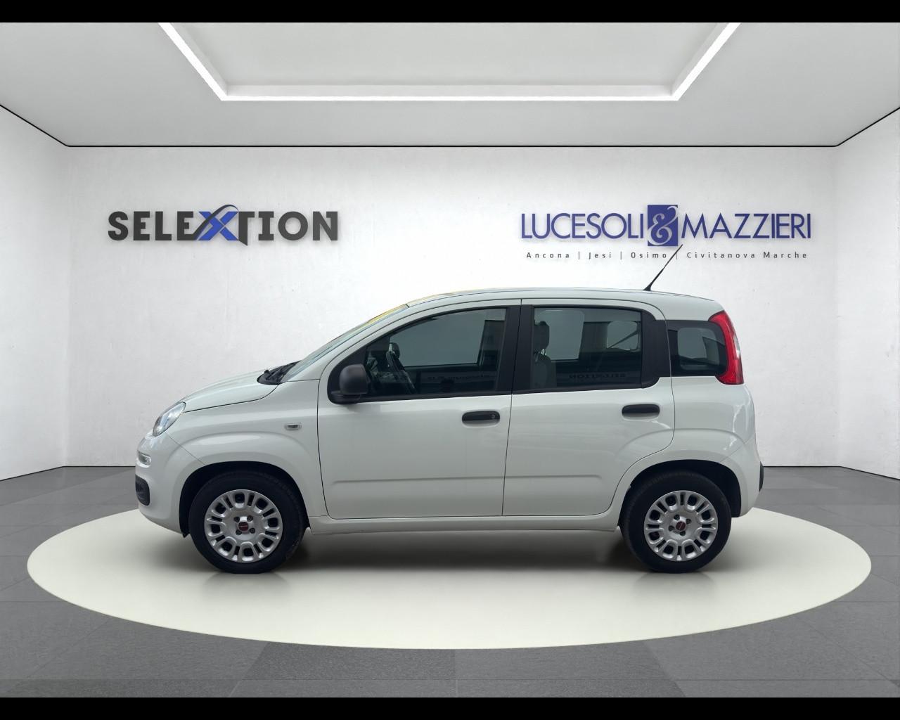 FIAT Panda 3ª serie - Panda 1.2 Easy