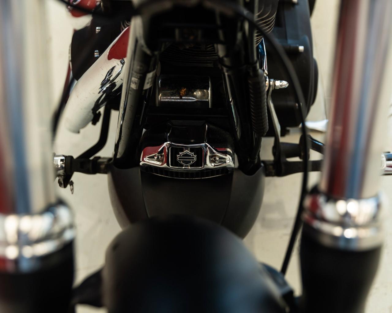 Harley-davidson Dyna "F. Bob"