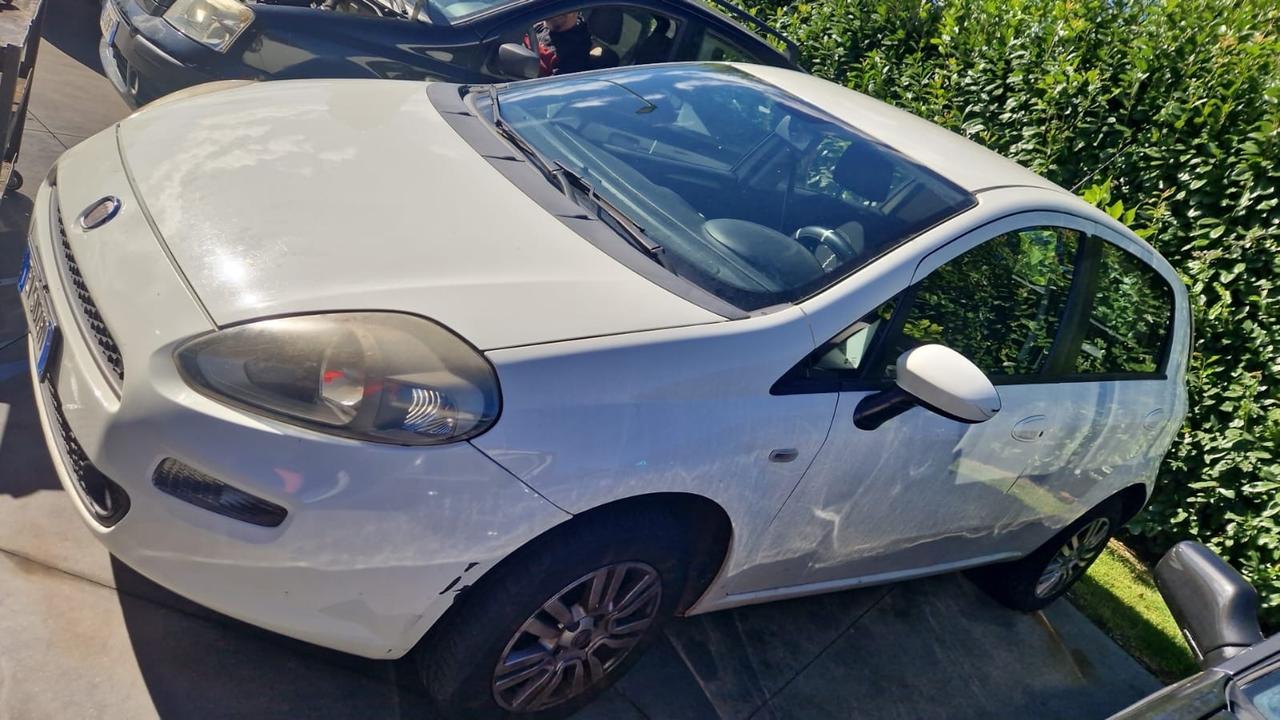 Fiat Punto 1.4 8V 5 porte Natural Power Lounge