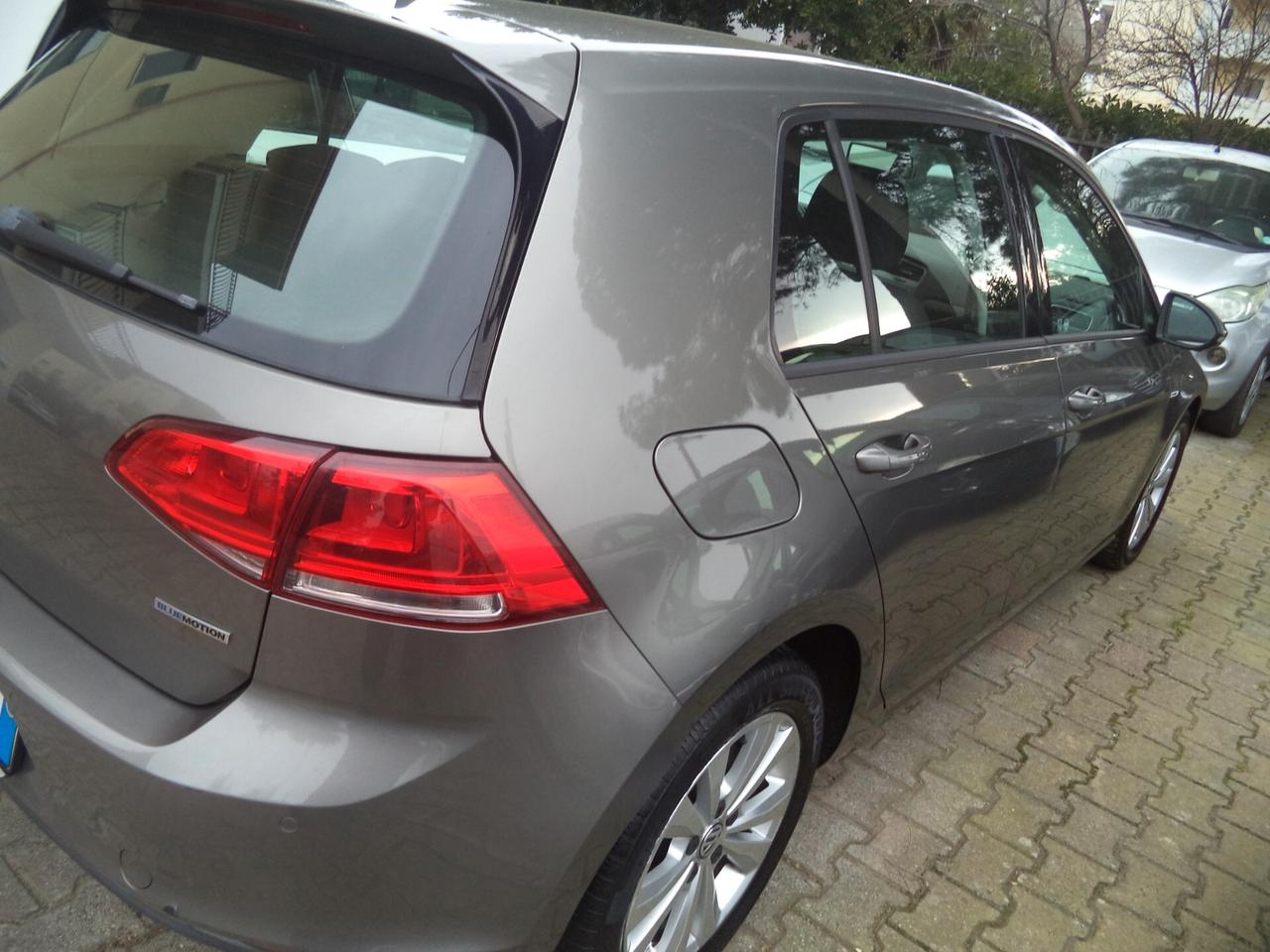 Volkswagen Golf Business 1.6 TDI 5p. Comfortline BlueMotion Technology