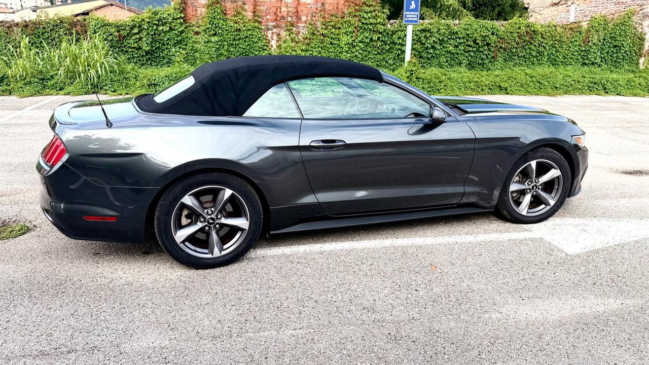 Ford Mustang America