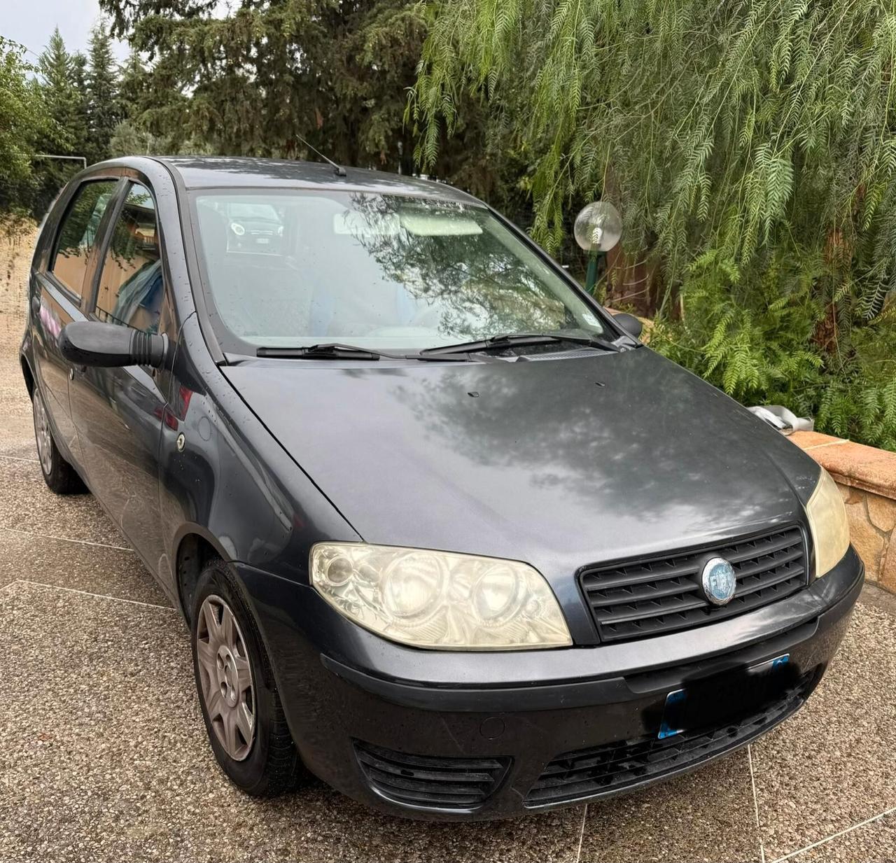 Fiat Punto 1.3 Multijet 16V 5 porte Actual