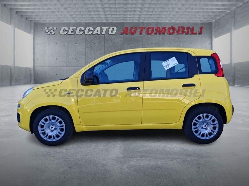 FIAT Panda Panda 1.0 firefly hybrid s&s 70cv