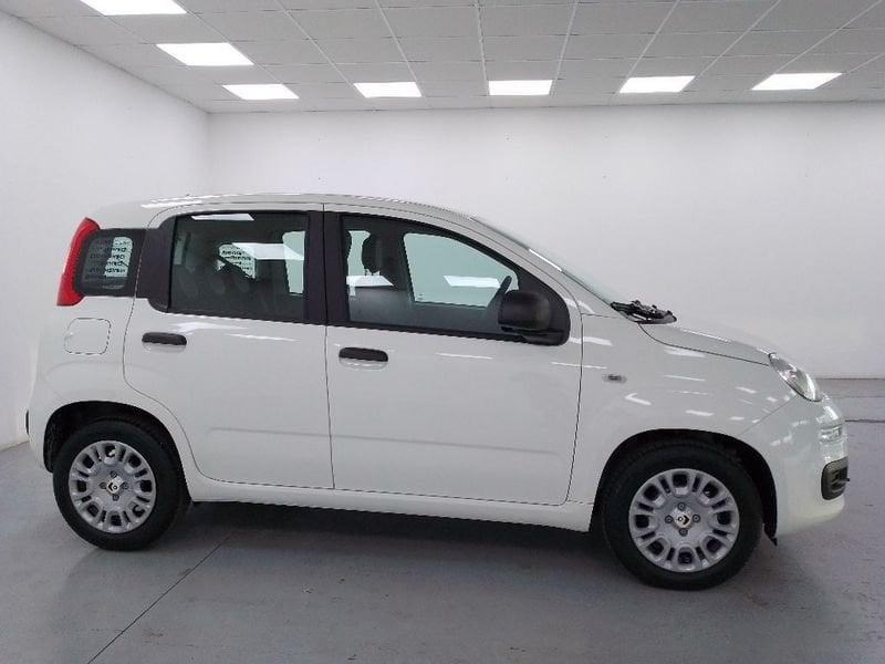 FIAT Pandina 1.0 firefly hybrid Icon s e s 70cv 5p.ti