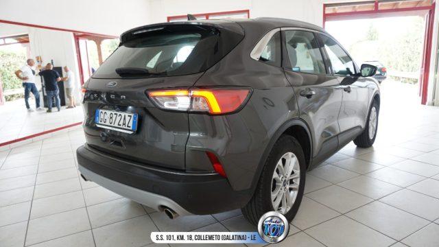 FORD Kuga 1.5 EcoBlue 120 CV aut. 2WD Titanium Business