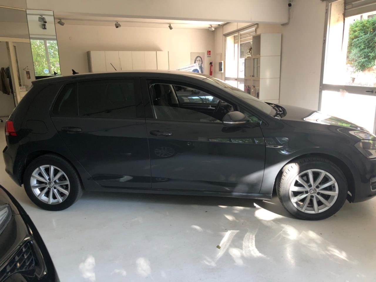 Volkswagen Golf 1.6 TDI 110 CV 5p. Sport Edition BlueMotion Technology