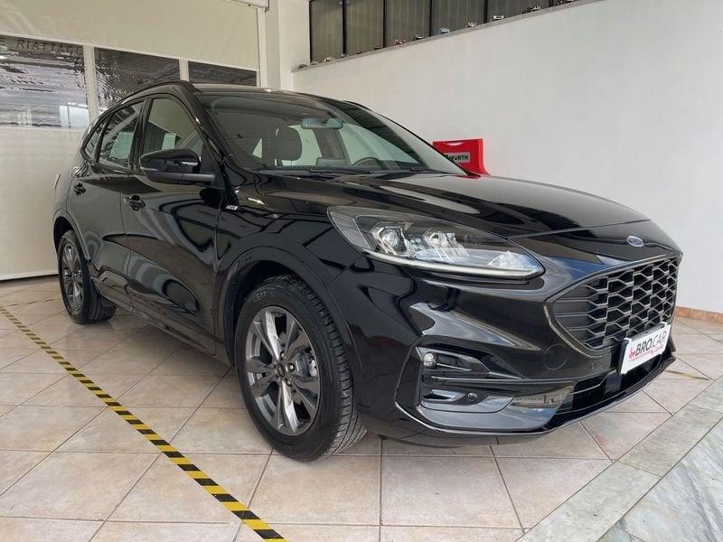 Ford Kuga 1.5 EcoBlue 120CV 2WD ST-Line Auto