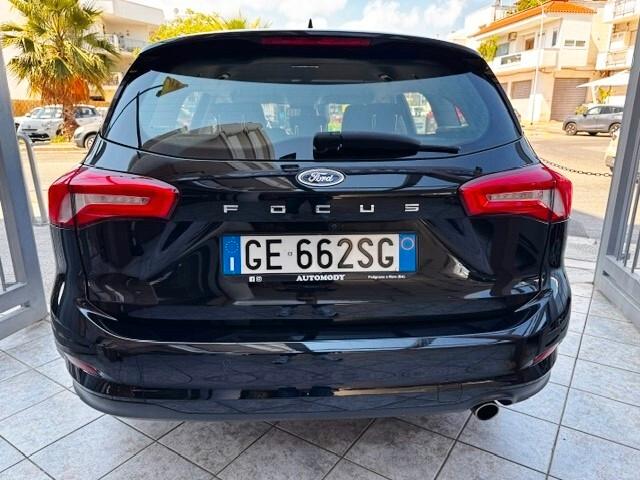 Ford Focus 1.5 EcoBlue 120 CV automatico SW Business Co-Pilot