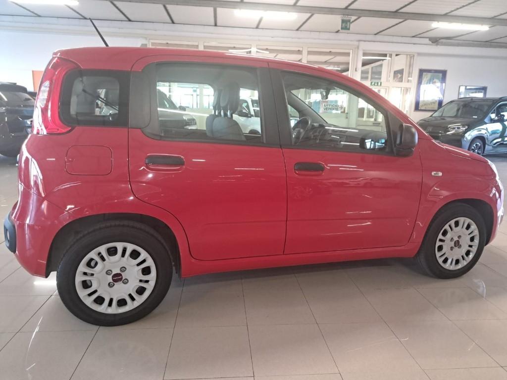 FIAT Panda III 2021 - Panda 1.0 firefly hybrid s&s 70cv