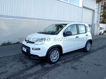 FIAT Panda My24 1.0 70cv Hybrid Panda