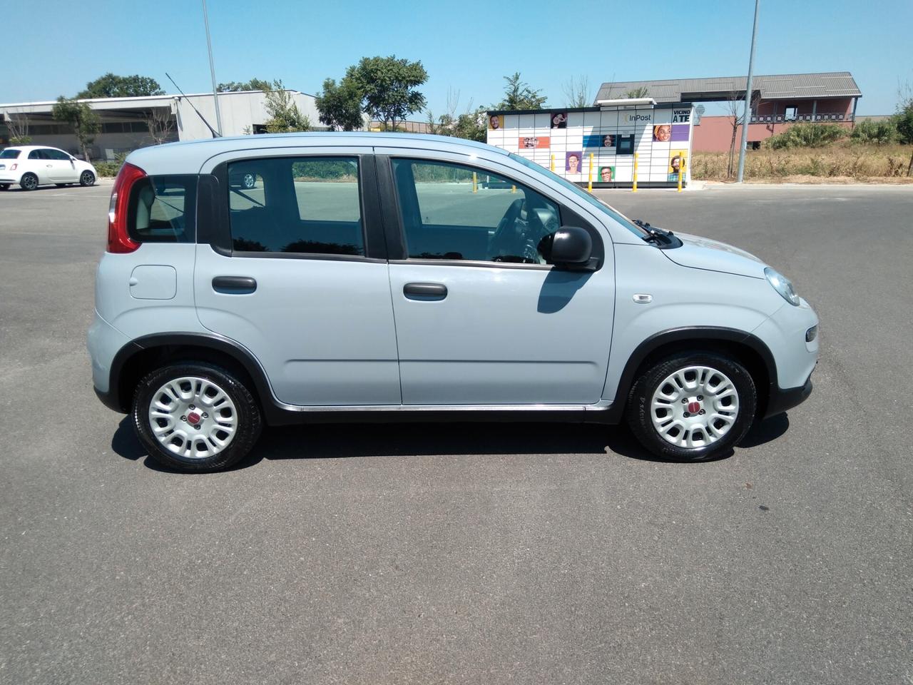 Fiat Panda 1.0 70cv FireFly S&S Hybrid x neopatentati