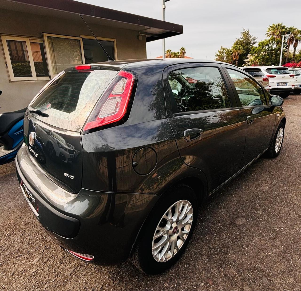 Punto 1.2 8v 5 porte lounge