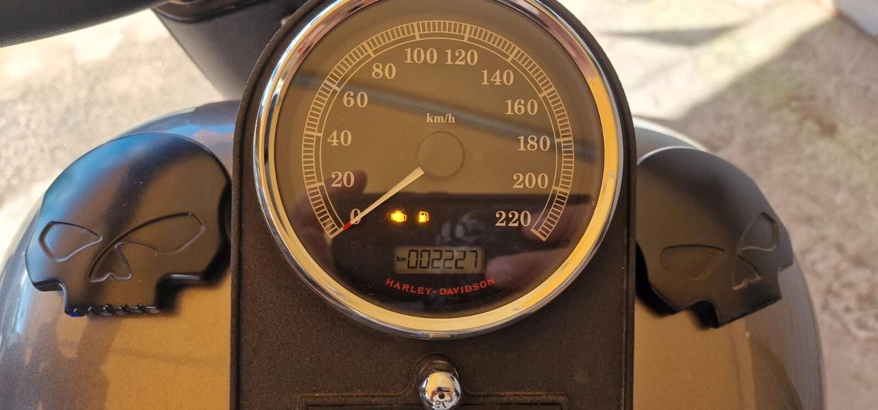 Harley-davidson Fat Boy