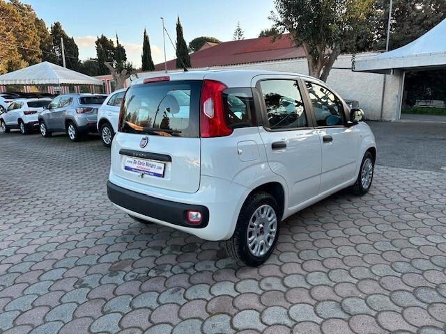 FIAT Panda 1.2 Benz. 70CV Easy - 2019