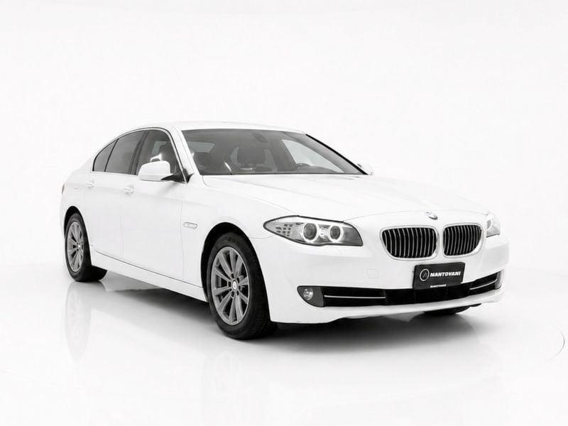 BMW Serie 5 520d Futura