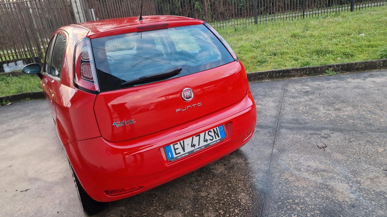 Fiat Punto 1.4 5 porte Lounge - 2014