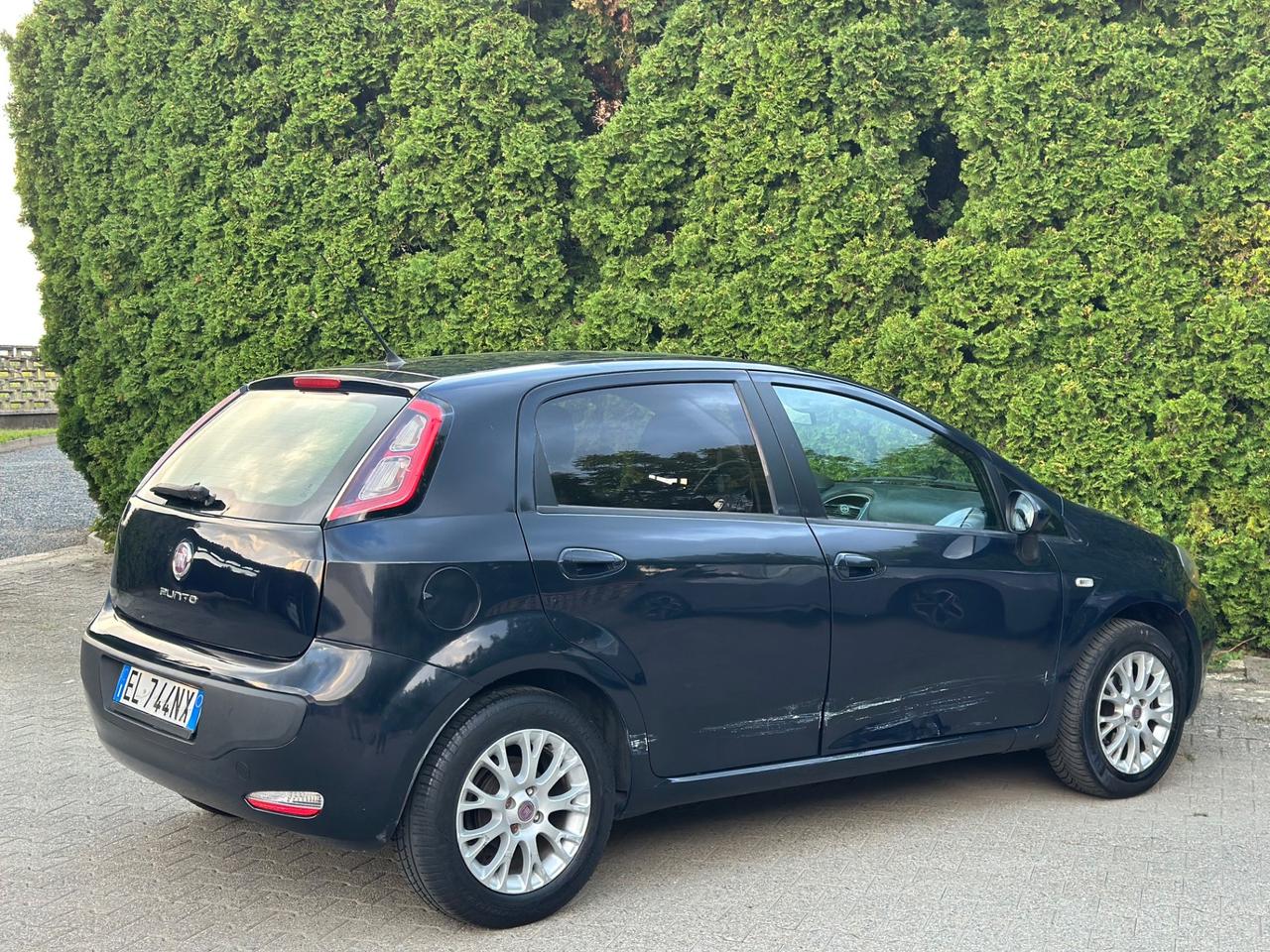 Fiat Punto Evo 1.4 5 porte Dynamic EasyPower
