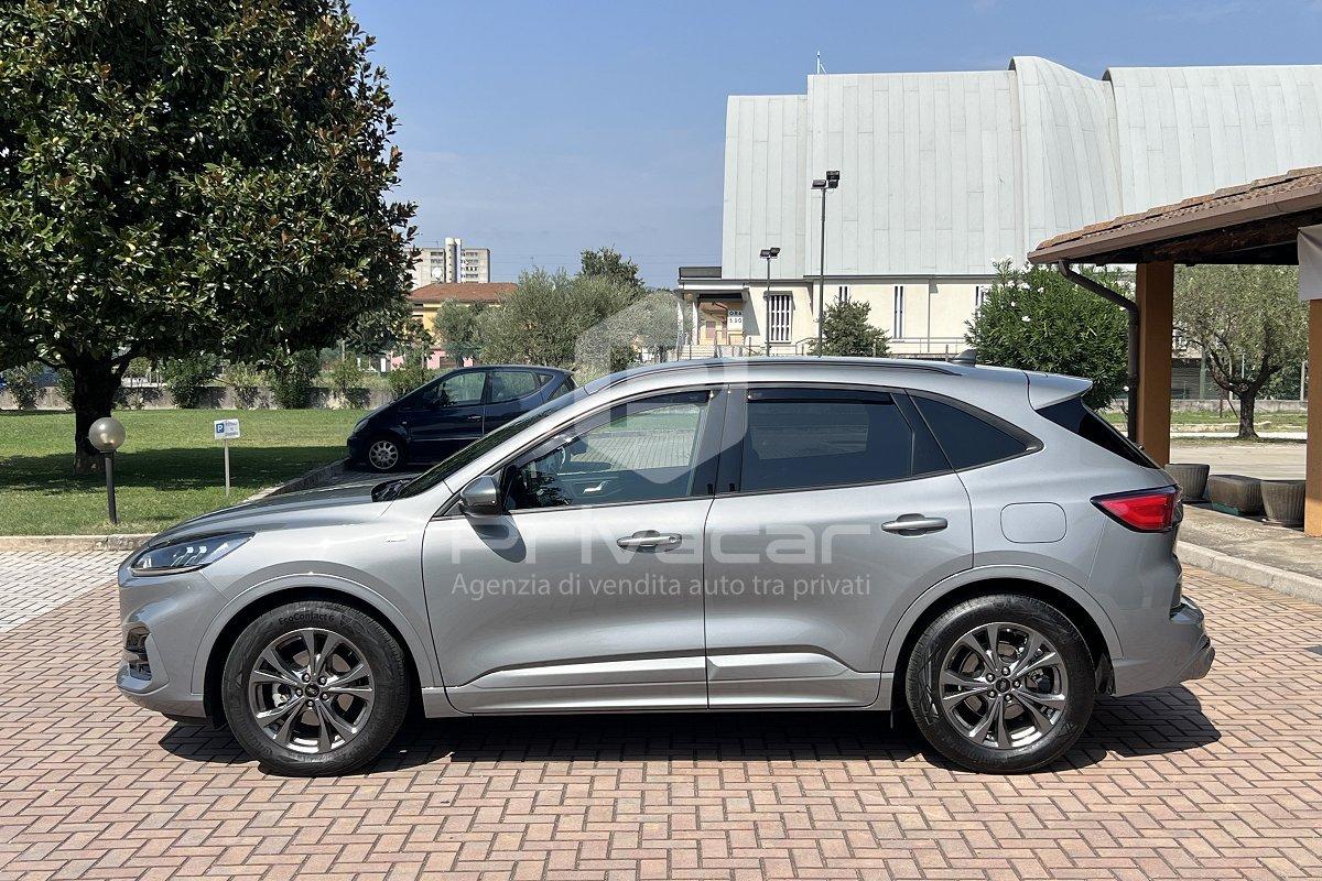 FORD Kuga 1.5 EcoBlue 120 CV 2WD ST-Line