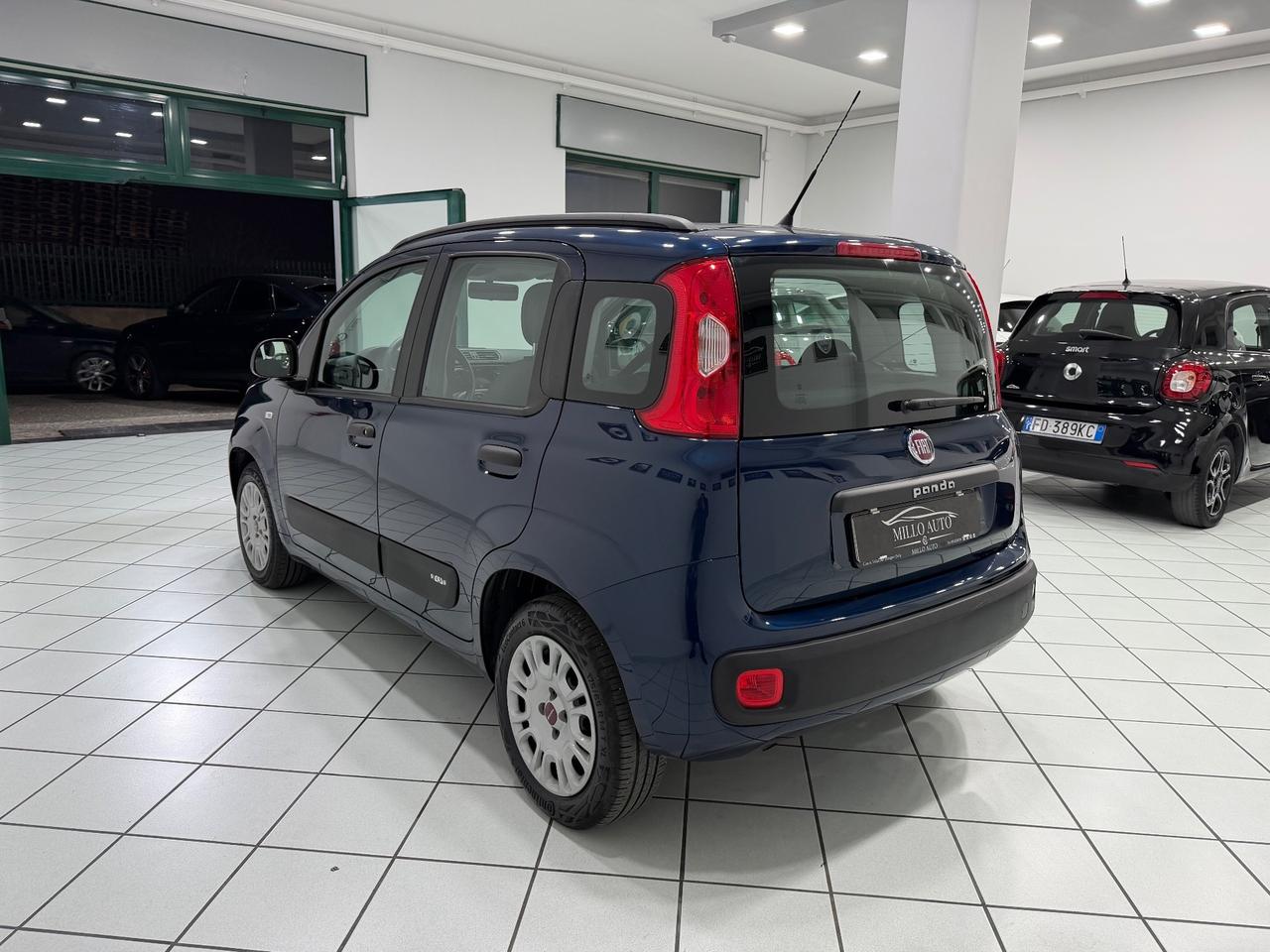 Fiat Panda 1.2cc 69cv Lounge UNICO PROPRIETARIO