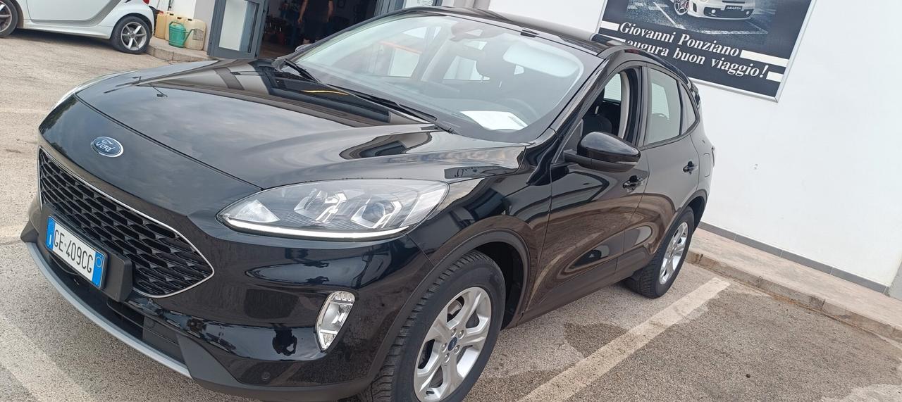 Ford Kuga 1.5 EcoBlue 120 CV 2WD Titanium Business