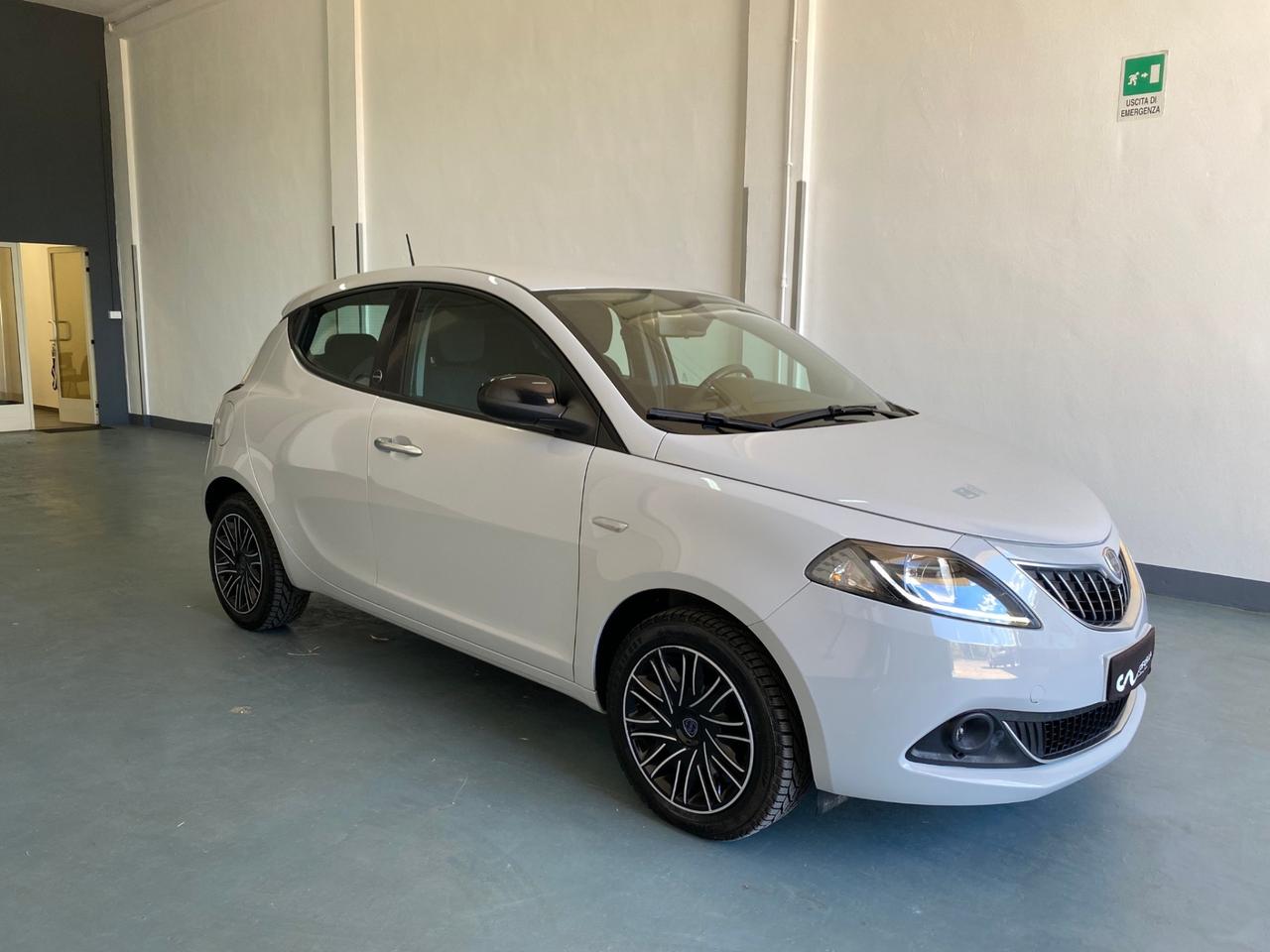 Lancia Ypsilon Gold 1.2 69 CV GPL Unico Proprietario