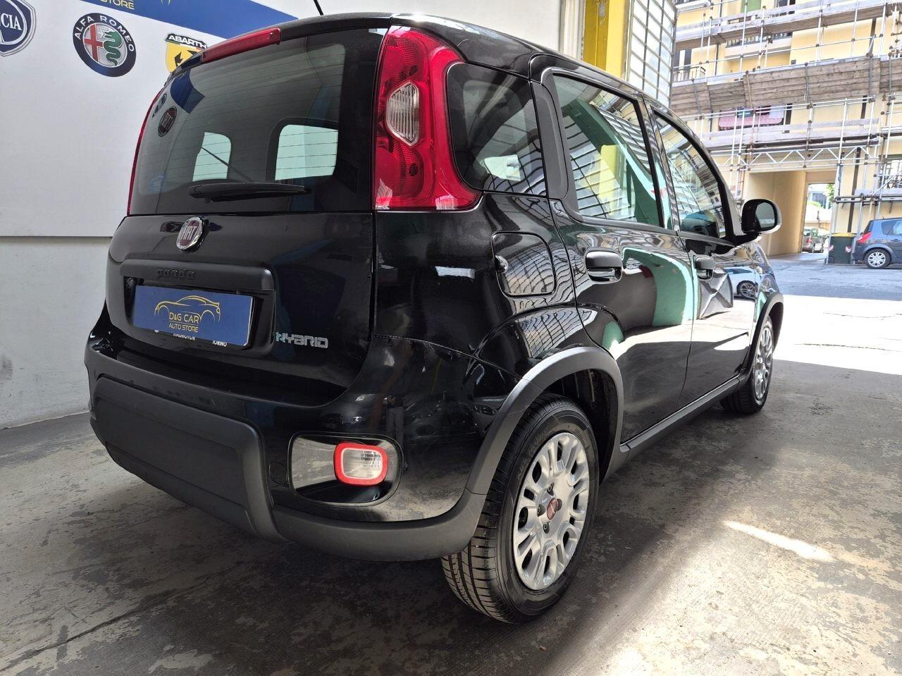 Fiat Panda PREZZO REALE !!! 1.0 Hybrid Km 6.000