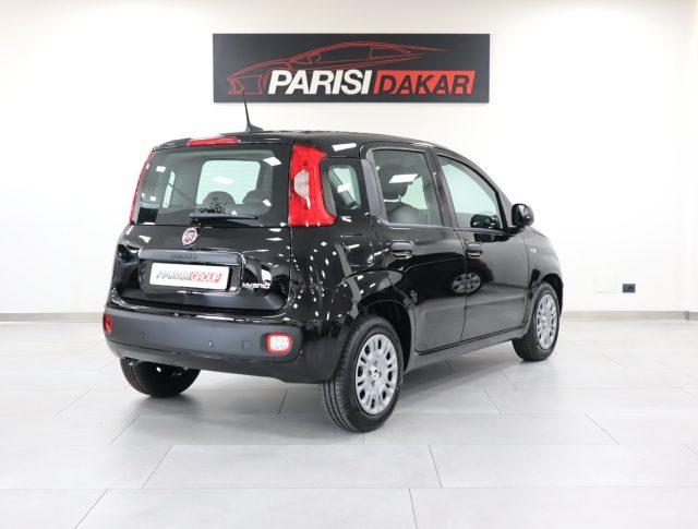 FIAT Panda 1.0 FireFly S&S Hybrid *PROMO PARISI GROUP*
