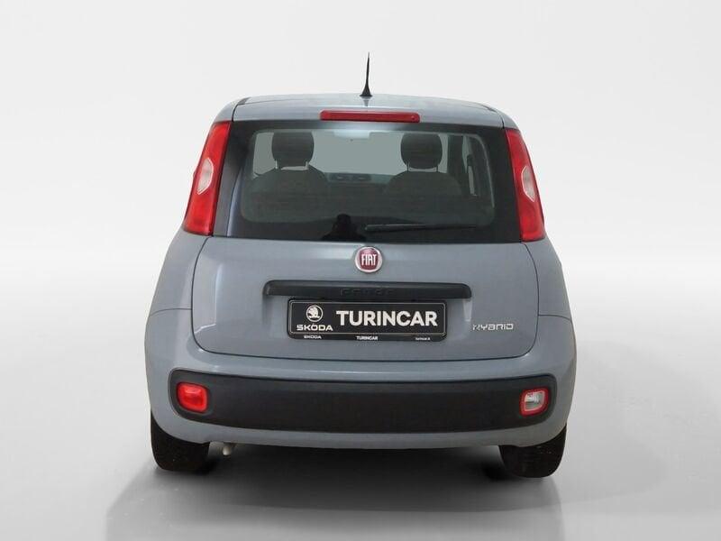 FIAT Panda Panda 1.0 firefly hybrid s&s 70cv