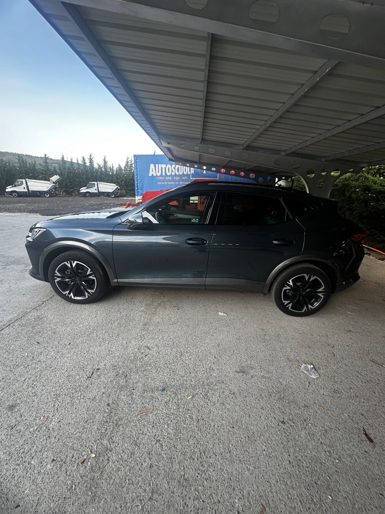 Cupra Formentor 2.0 TDI 4Drive DSG