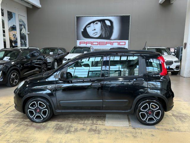 FIAT Panda 1.0 FireFly Hybrid City Life 5 p.ti - Carplay -IVA