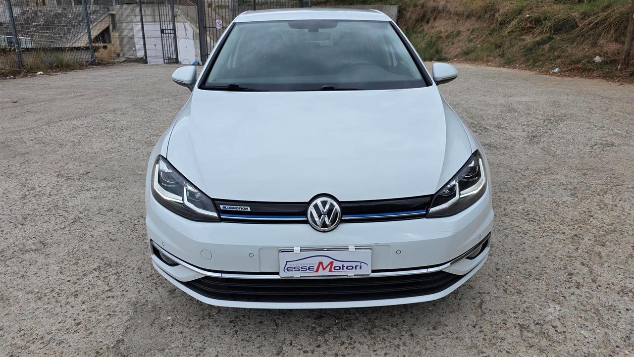 Volkswagen Golf 1.4 TGI DSG 5p. Executive BlueMotion