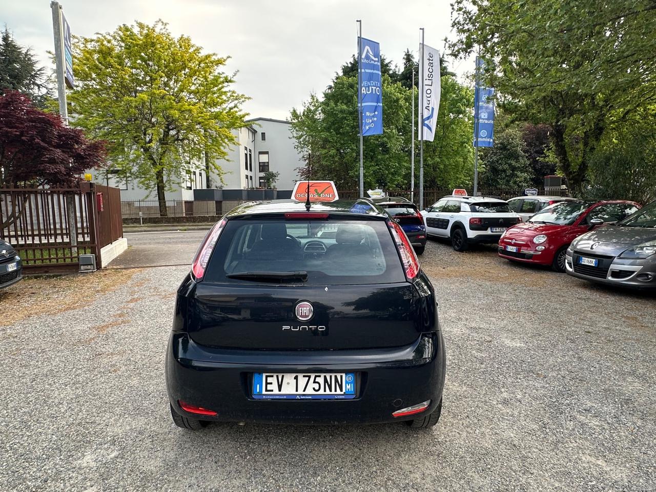 Fiat Punto 1.2 8V 5 porte Lounge