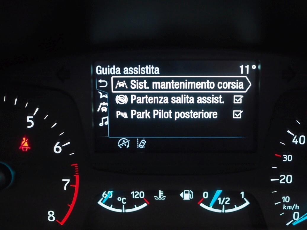 Ford Fiesta 1.0 benzina - 95CV 5 porte ST-Line