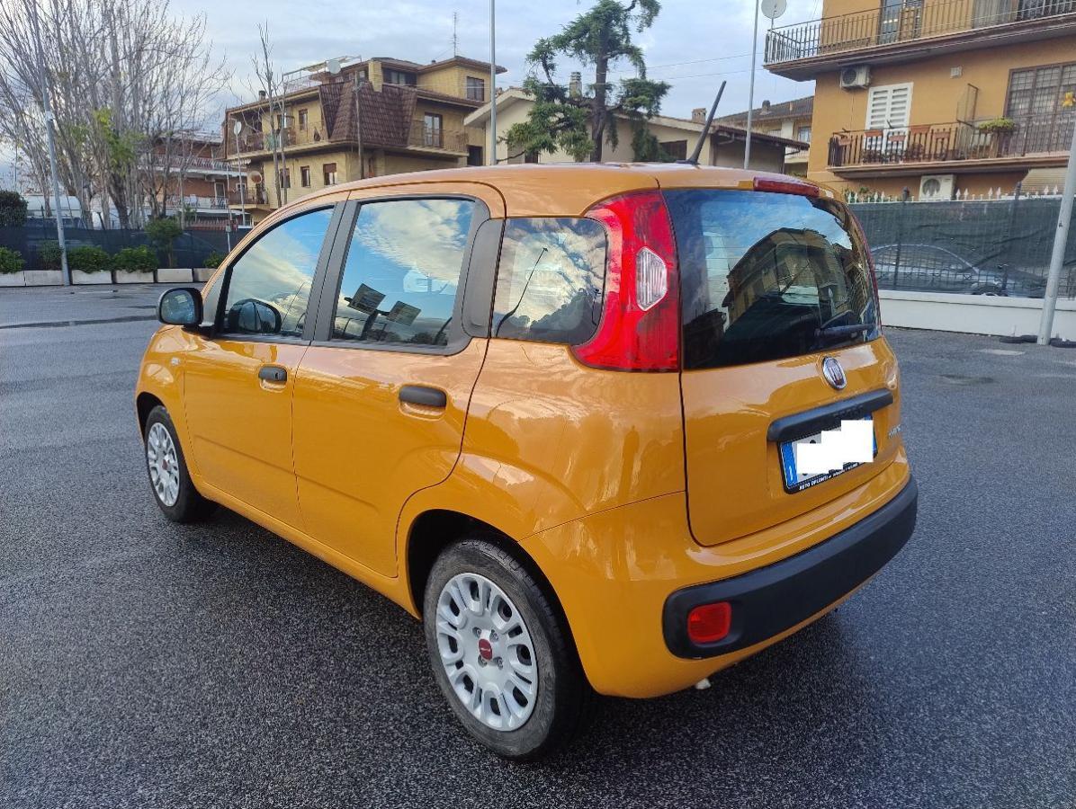 FIAT Panda 1.0 FireFly S&S Hybrid Easy