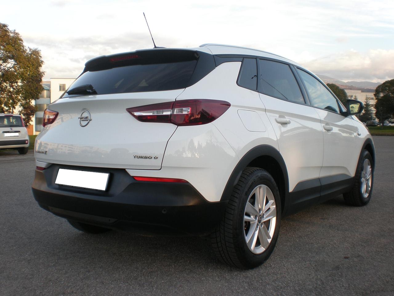 Opel Grandland 1.6 td 120 cv, tagliandi Opel, full