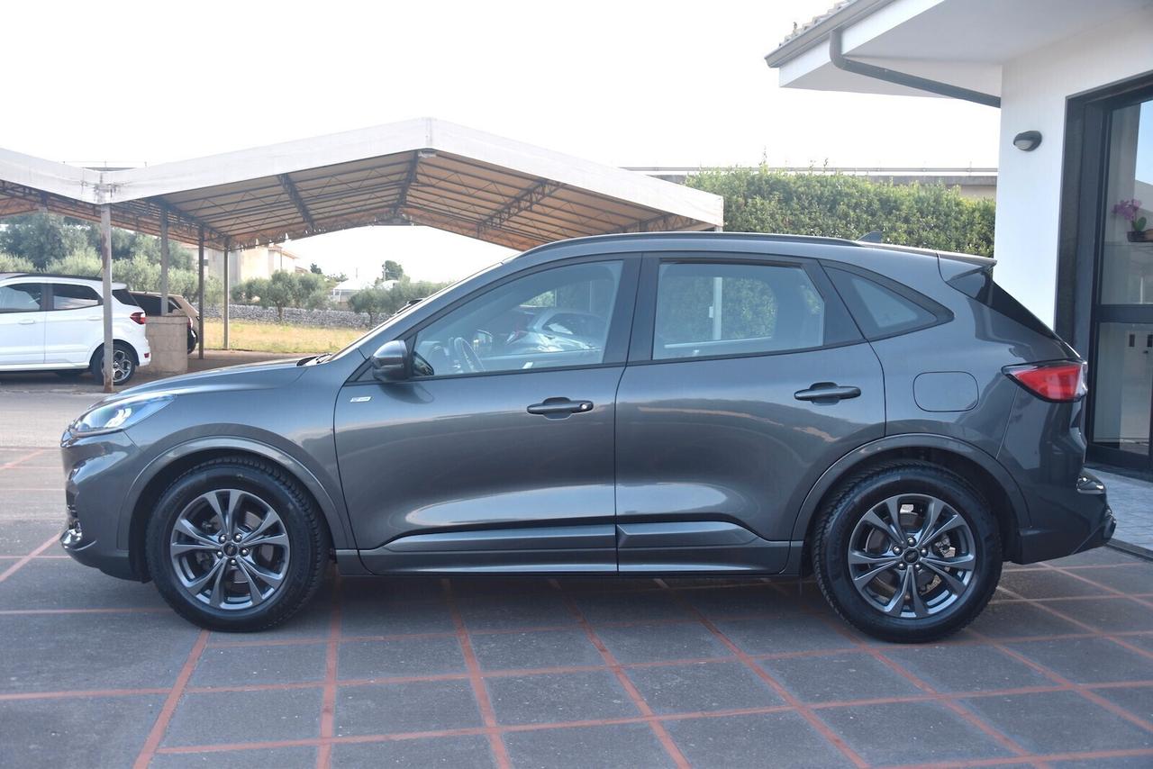 Ford Kuga 2.0 EcoBlue 120 CV Aut. ST-Line