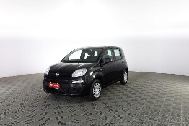 FIAT Panda Panda 1.0 FireFly S&S Hybrid Icon