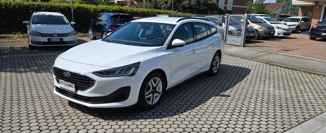 Ford Focus 1.5 EcoBlue 120 CV automatico SW Business