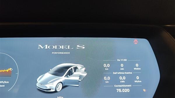 Tesla Model S Model S 100kWh Performance Dual Motor AWD