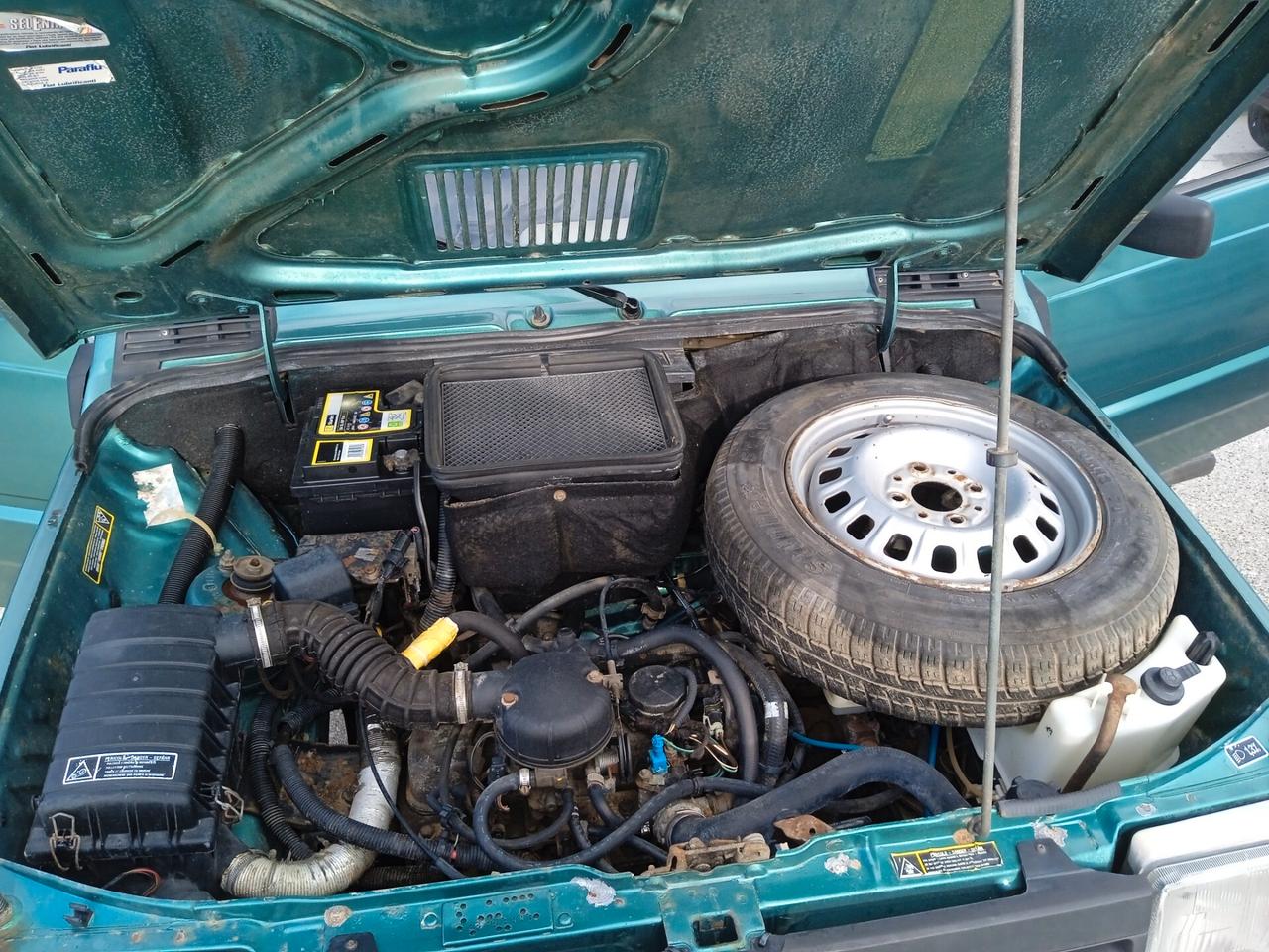 Fiat Panda 900 i.e. cat Young